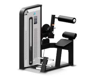 QUELEA LC610-DF Back / Abdominal Training (Dual Function)