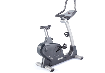 QUELEA B200.1 Upright Bike